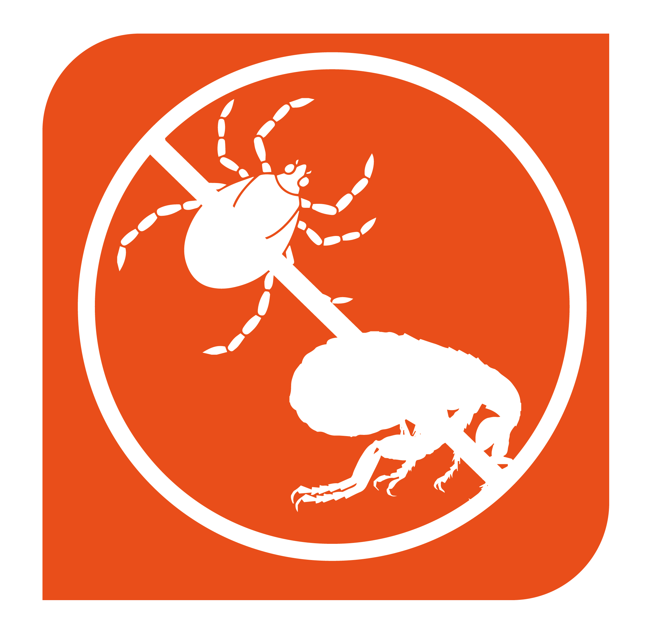 Antipulgas